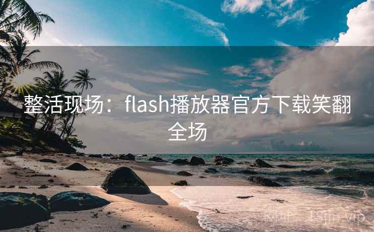 整活现场：flash播放器官方下载笑翻全场